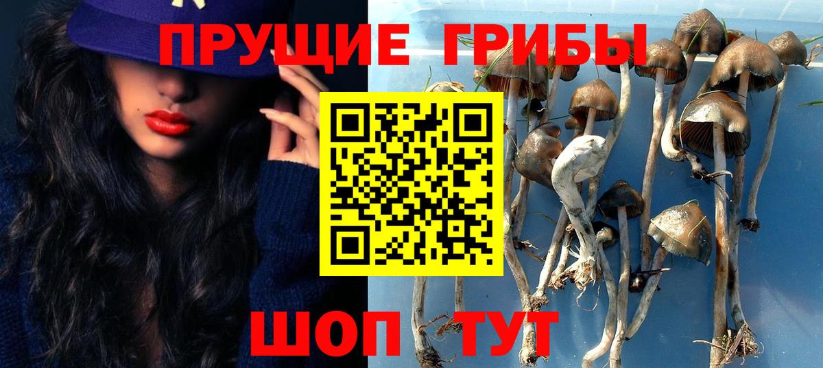 Галлюциногенные грибы прущие грибы  Вход с VPN  Жуковский 